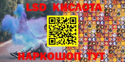 бошки Кингисепп