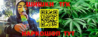 бошки Кингисепп