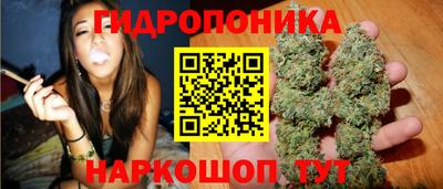 jwh Кимры