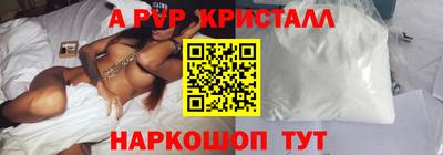 бошки Кингисепп