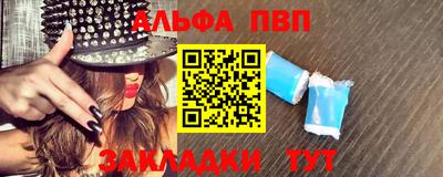 бошки Кингисепп