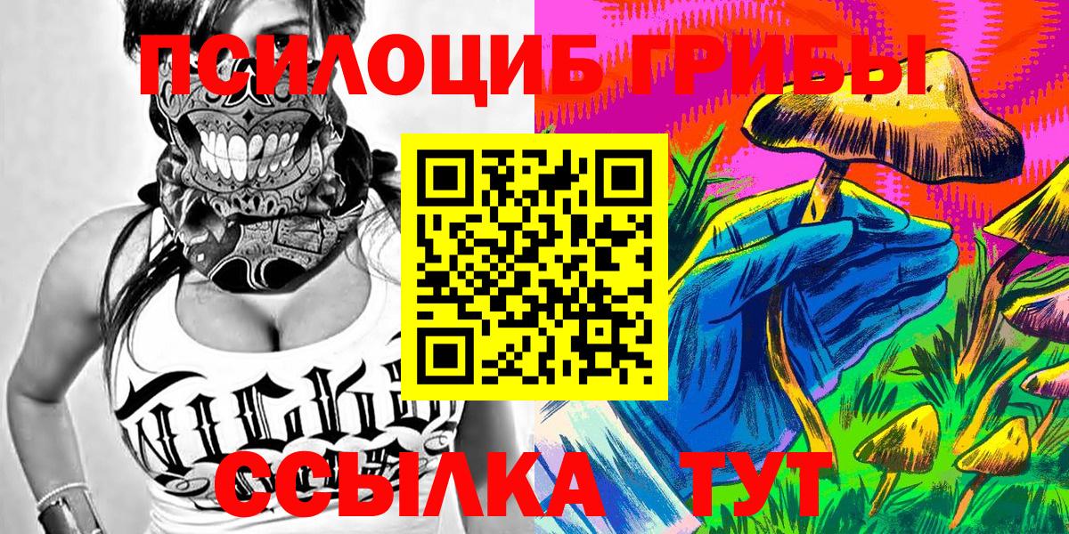 Фролово  Псилоцибиновые грибы мухоморы  купить наркотик  Вход с VPN 